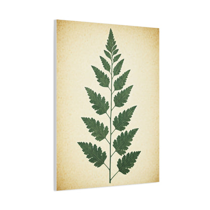 Vintage Fern Study Wall Art & Canvas Prints