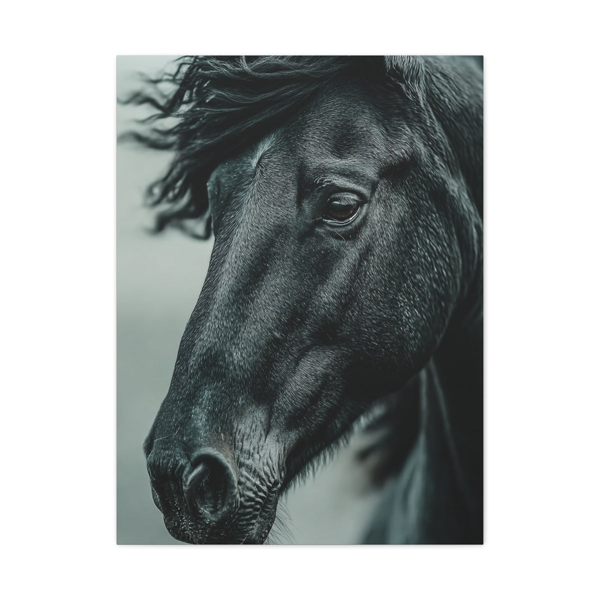 Black Stallion Close Portrait Wall Art & Canvas Print