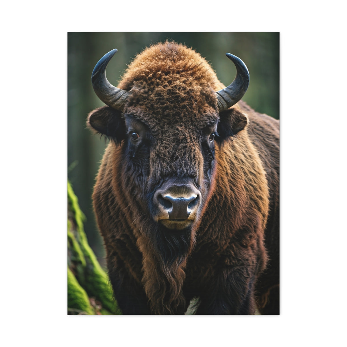 American Bison in Prairie Grass Portrait Wall Art & Canvas Print