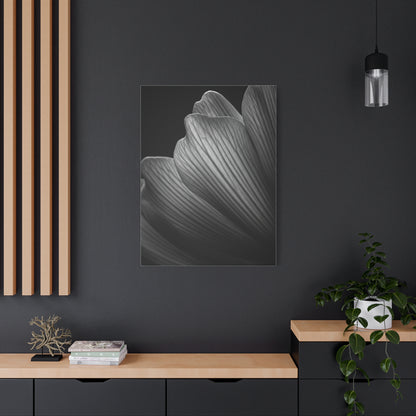 Sculpted Daffodil Bloom Study Wall Art & Canvas Prints
