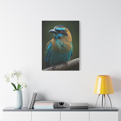 Turquoise-Browed Motmot Wall Art & Canvas Prints