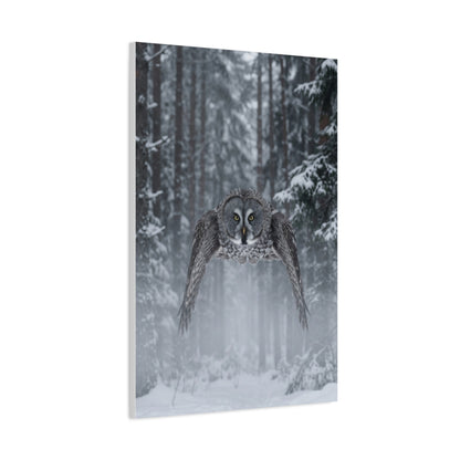 Great Grey Owl Winter Flight Wall Art & Canvas Print