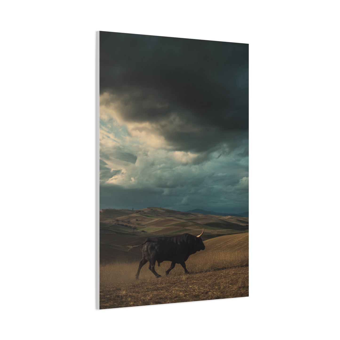 Storm Valley Black Bull Wall Art & Canvas Print