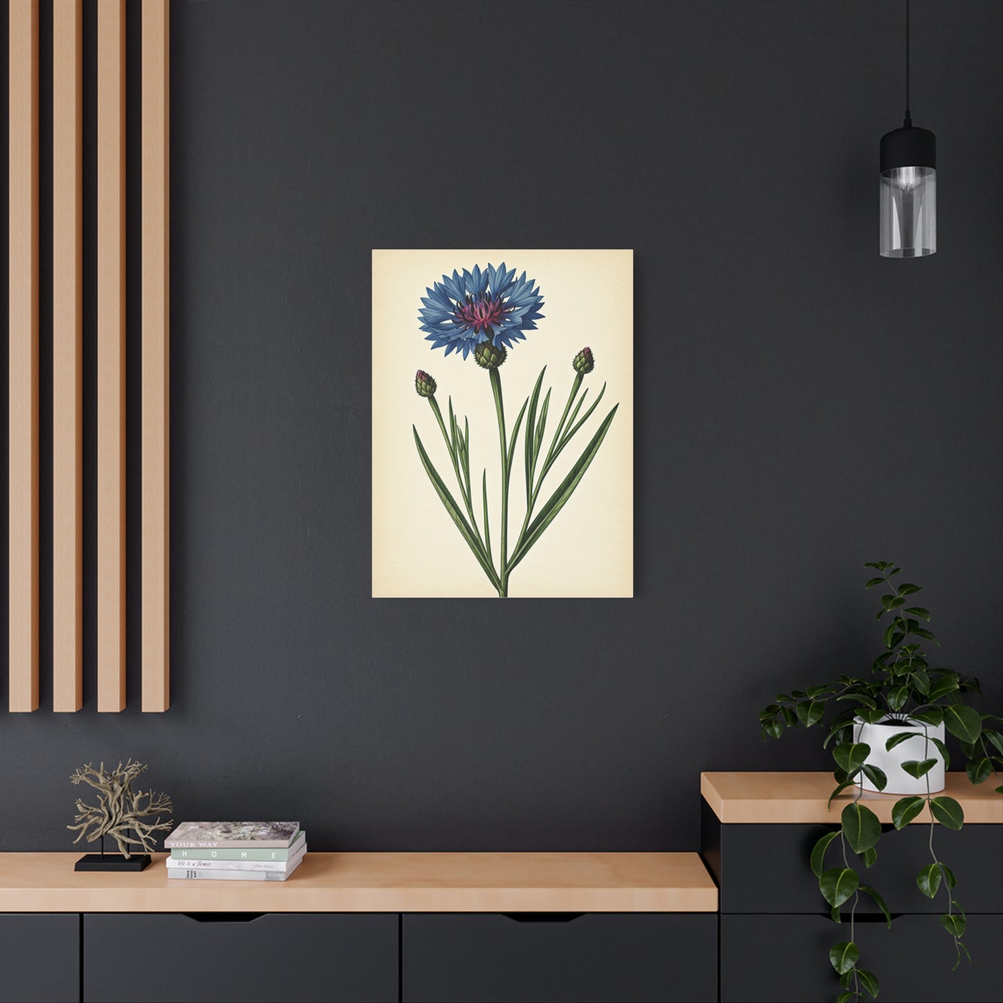 Cornflower Wildflower Illustration Wall Art & Canvas Prints