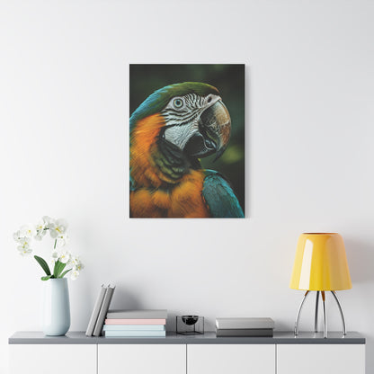 Blue and Gold Macaw Portrait Wall Art & Canvas Prints