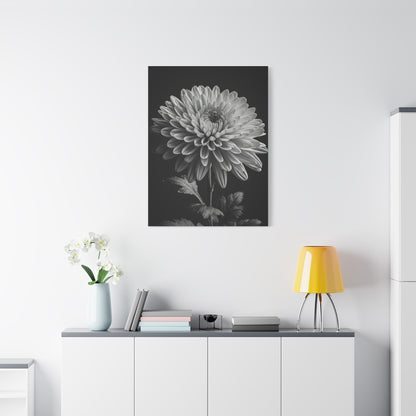 Chrysanthemum Bloom in Noir Wall Art & Canvas Prints
