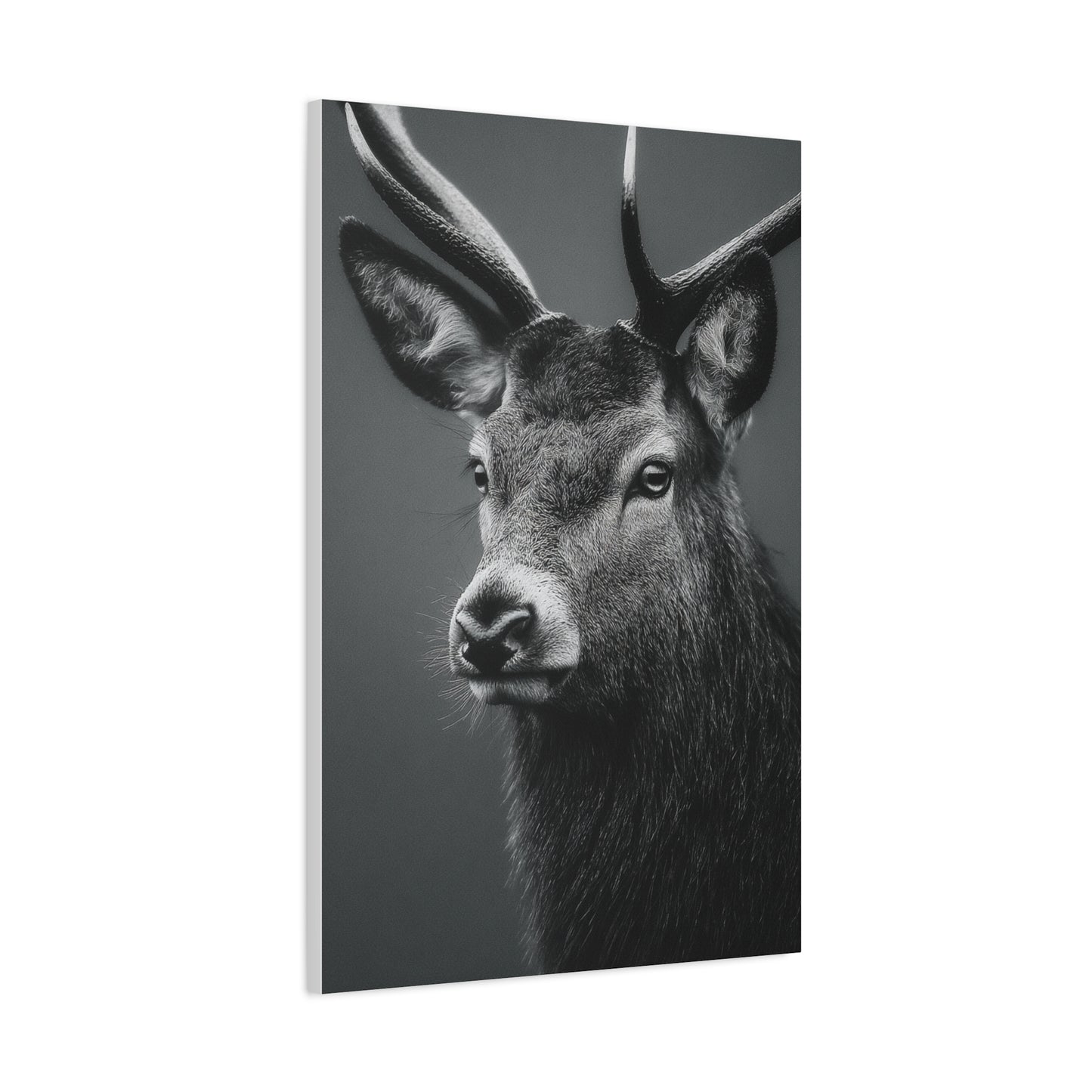 Highland Stag Moonlight Profile Wall Art & Canvas Print