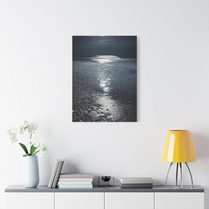 Moonlit Beach Reflections with Scattered Seashells Wall Art & Canvas Print