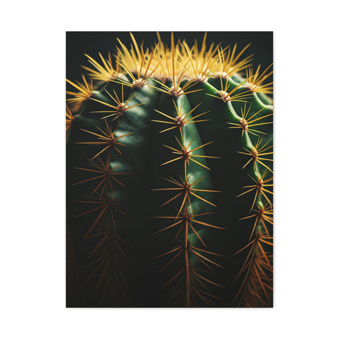 Golden Spine Macro Cactus Wall Art & Canvas Prints