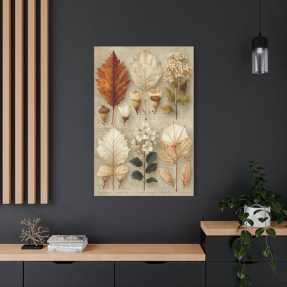 Vintage Autumn Botanical Leaf Study Wall Art & Canvas Print