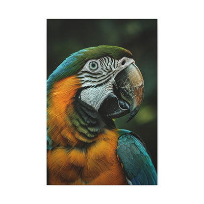 Blue and Gold Macaw Portrait Wall Art & Canvas Prints