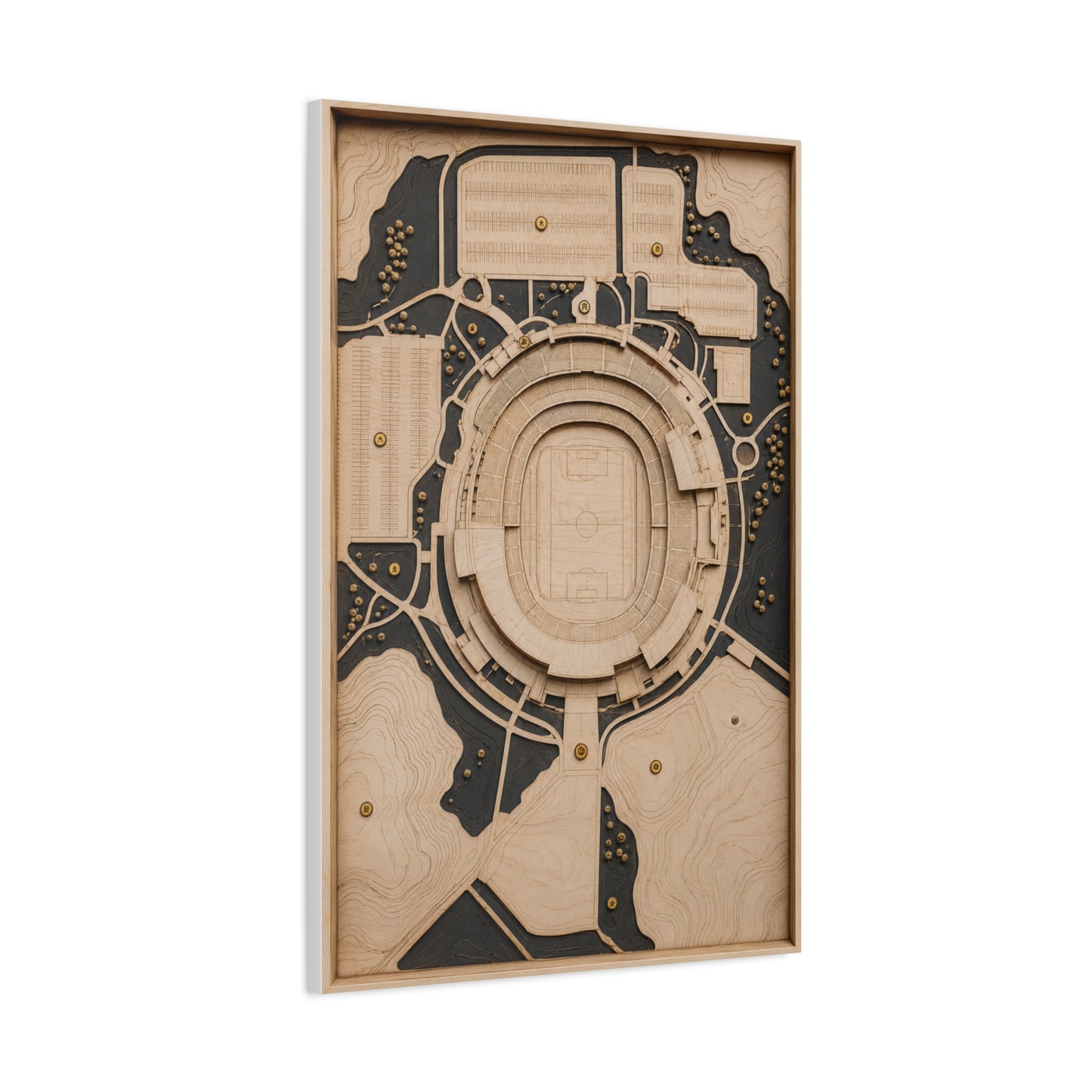 Topographic Stadium Map Sports Wall Art & Canvas Print