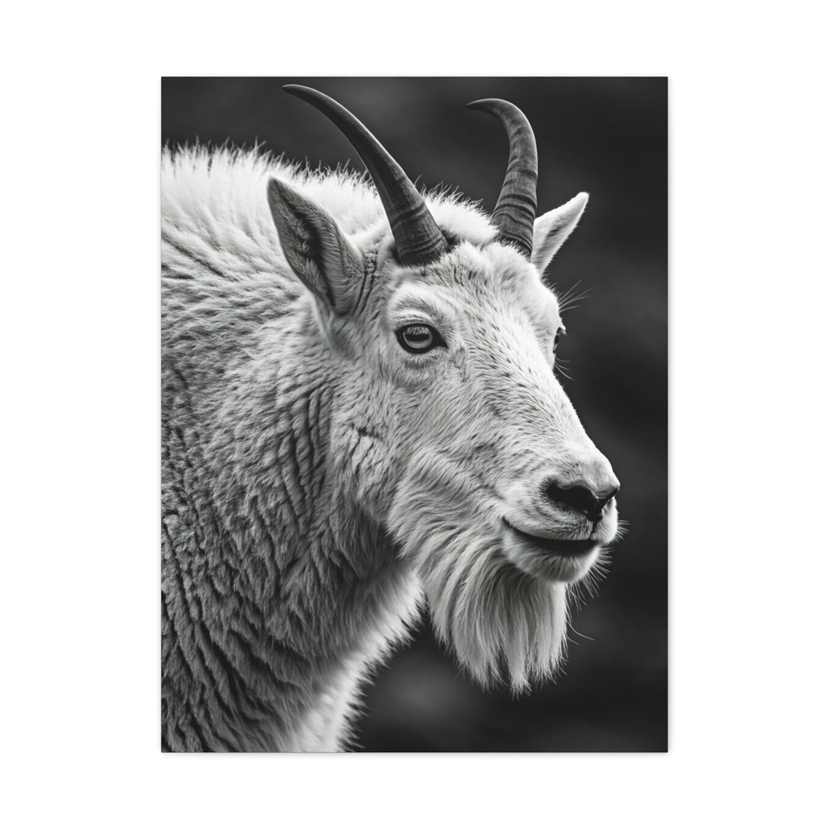 Alpine Goat Portrait Wall Art & Canvas Prints