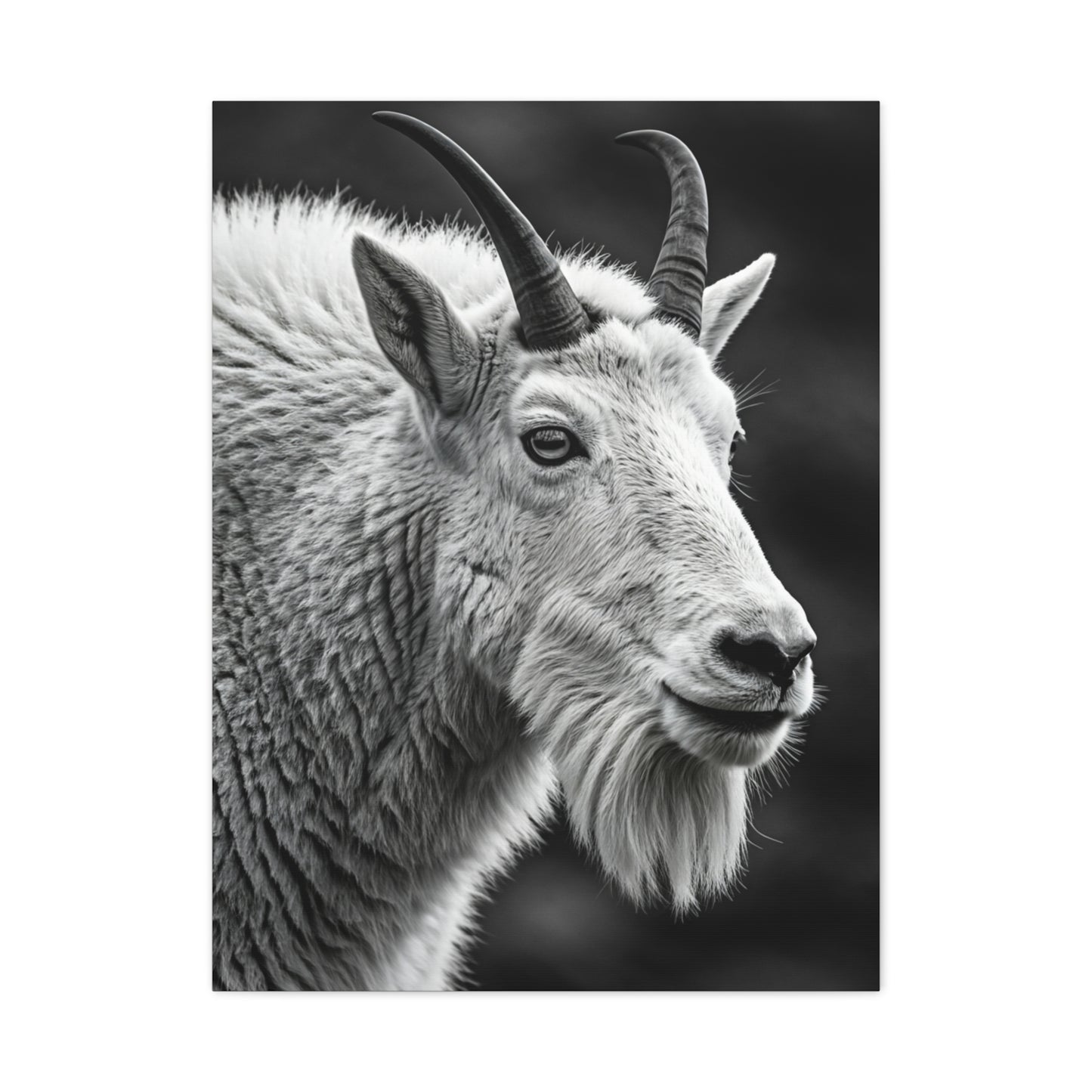 Alpine Goat Portrait Wall Art & Canvas Prints