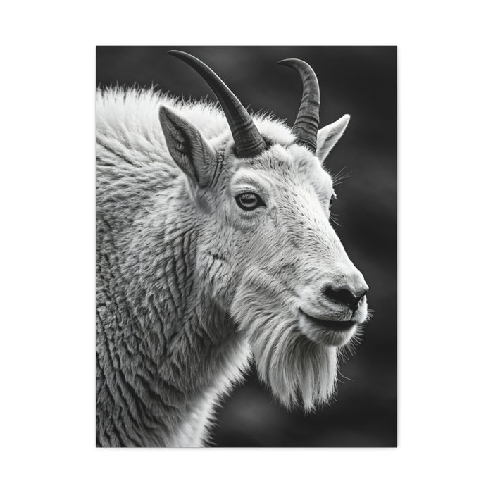 Alpine Goat Portrait Wall Art & Canvas Prints