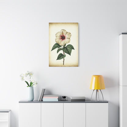 White Hibiscus Illustration Wall Art & Canvas Prints