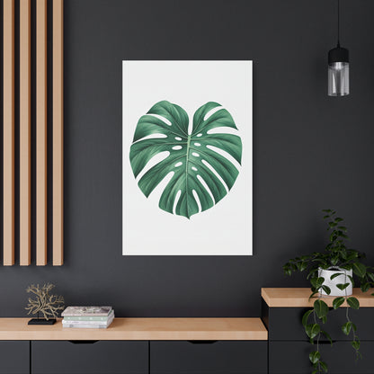 Monstera Leaf Modern Botanical Wall Art & Canvas Prints