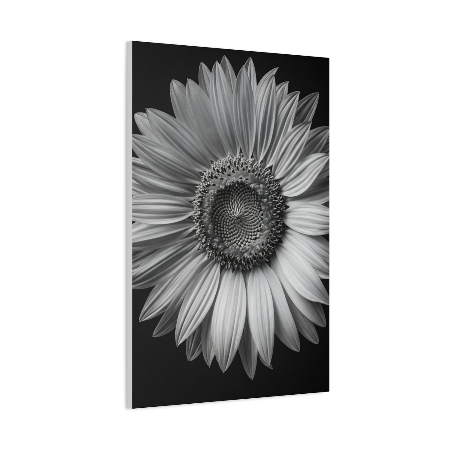 Velvet Orchid Bloom in Monochrome Wall Art & Canvas Prints