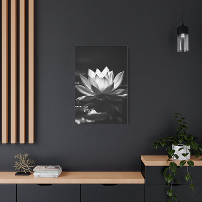 Serene Lotus Reflection Wall Art & Canvas Prints