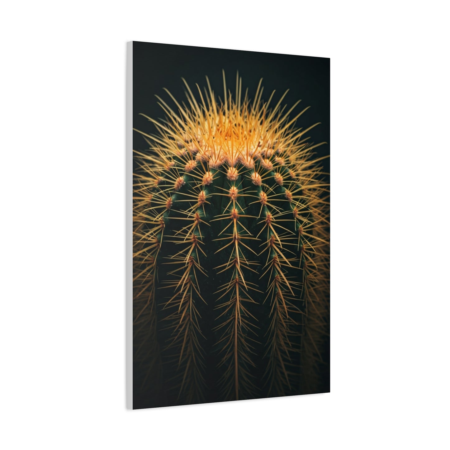 Sunset Crown Cactus Wall Art & Canvas Prints