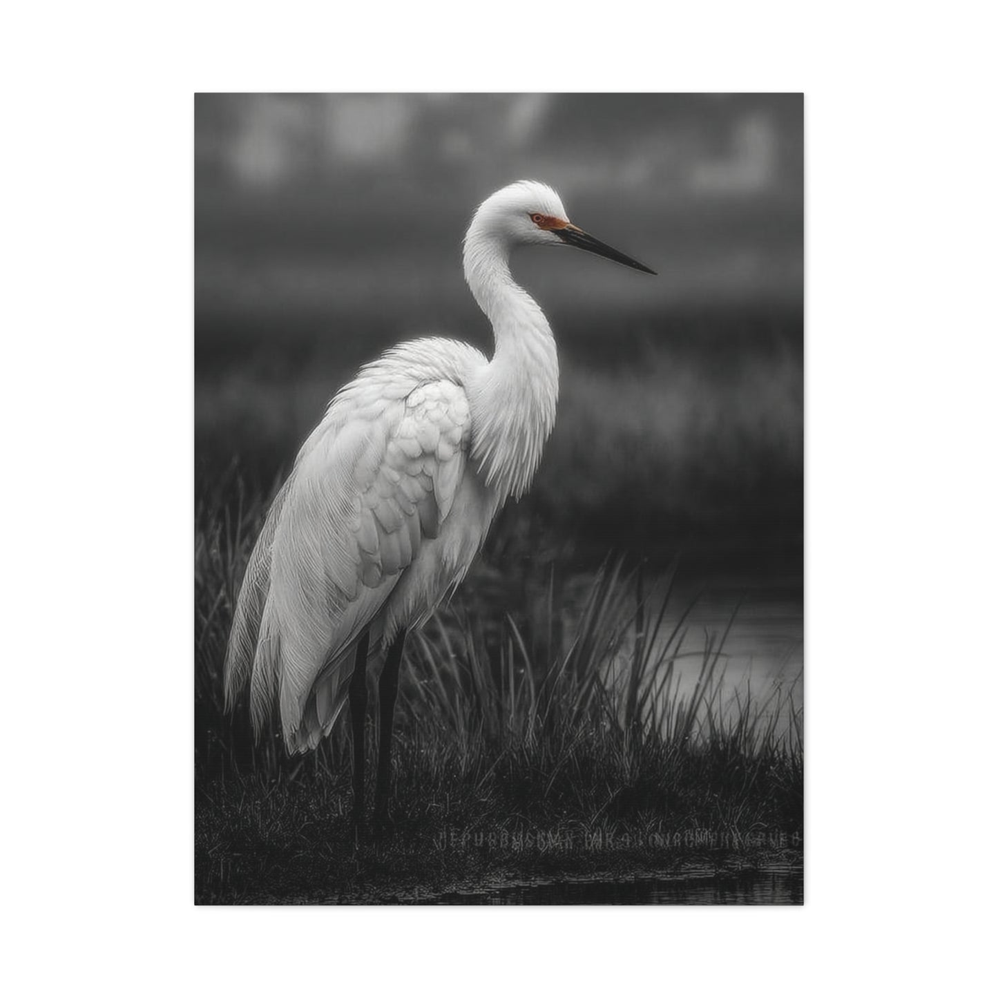 Light Grey Crane Mist Portrait Wall Art & Canvas Print