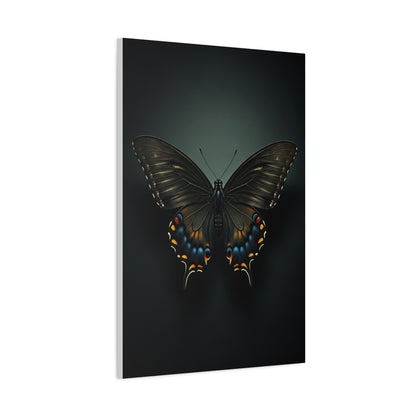 Midnight Swallowtail Butterfly with Jewel Wing Accents Wall Art & Canvas Prints