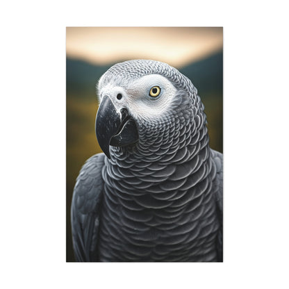 Sophisticated African Grey Parrot Portrait Wall Art & Canvas Prints