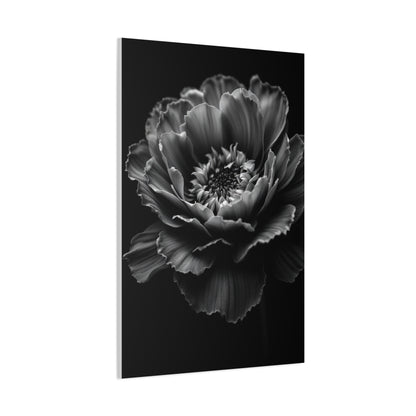 Layered Peony in Soft Shadow Wall Art & Canvas Prints