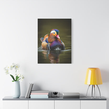 Mandarin Duck with Colorful Plumage Wall Art & Canvas Prints