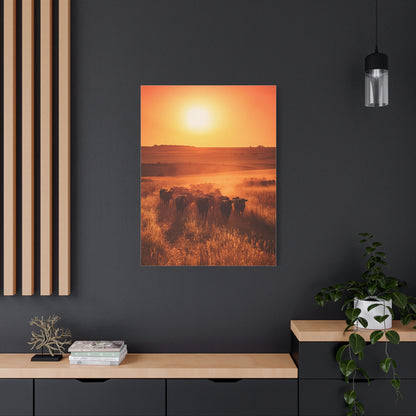 Golden Sunset Cattle Trail Wall Art & Canvas Print