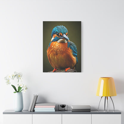 Tender Kingfisher Moment Wall Art & Canvas Prints