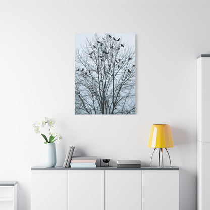 Tree of Crows Silhouette Wall Art & Canvas Print