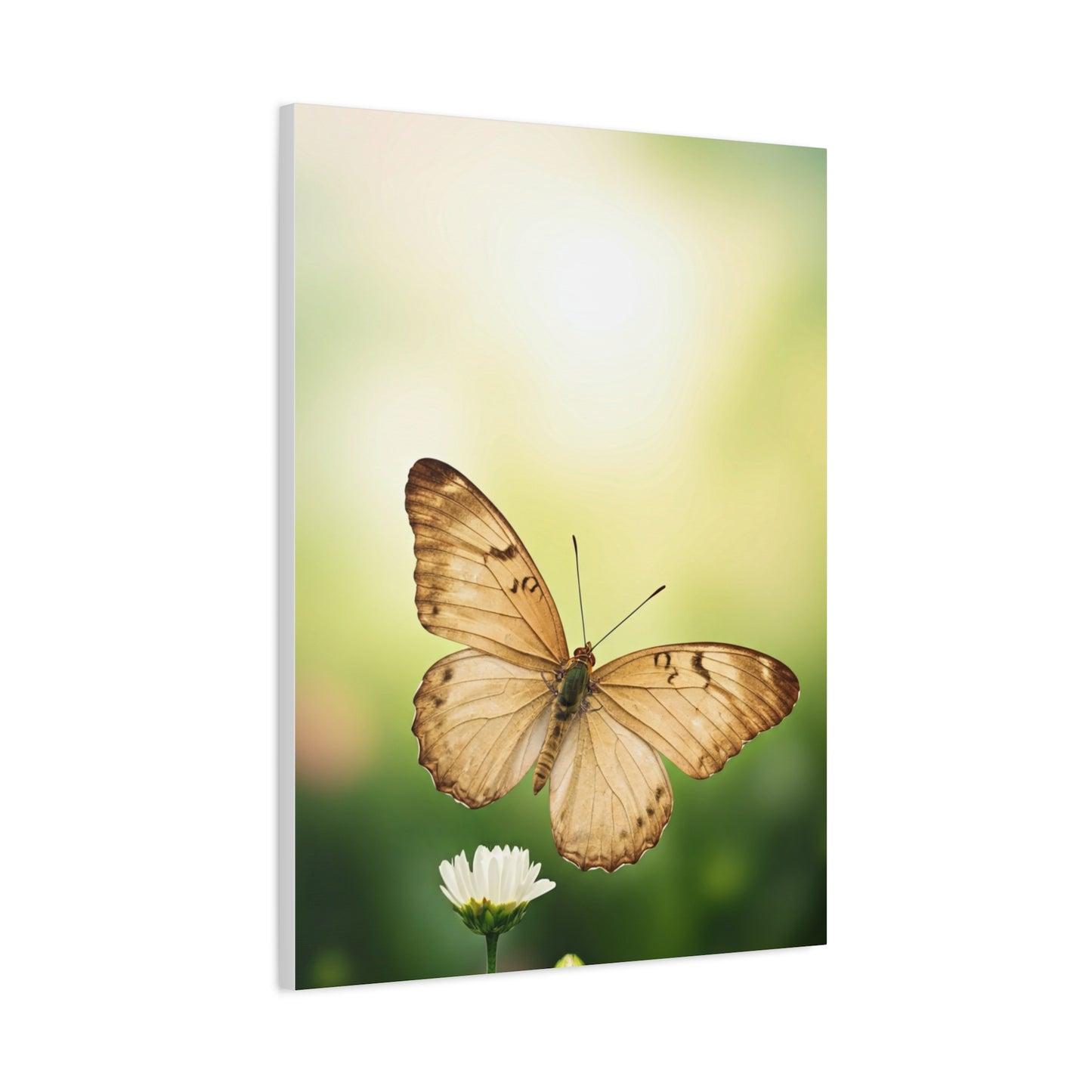 Golden Meadow Butterfly Wall Art & Canvas Prints