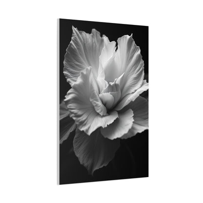 Sculpted Petal Elegance Close-Up Wall Art & Canvas Prints