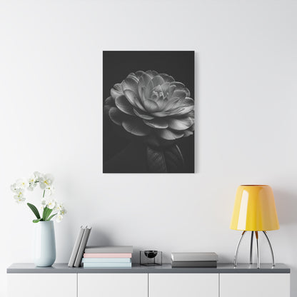 Camellia Bloom in Shadow Monochrome Wall Art & Canvas Prints
