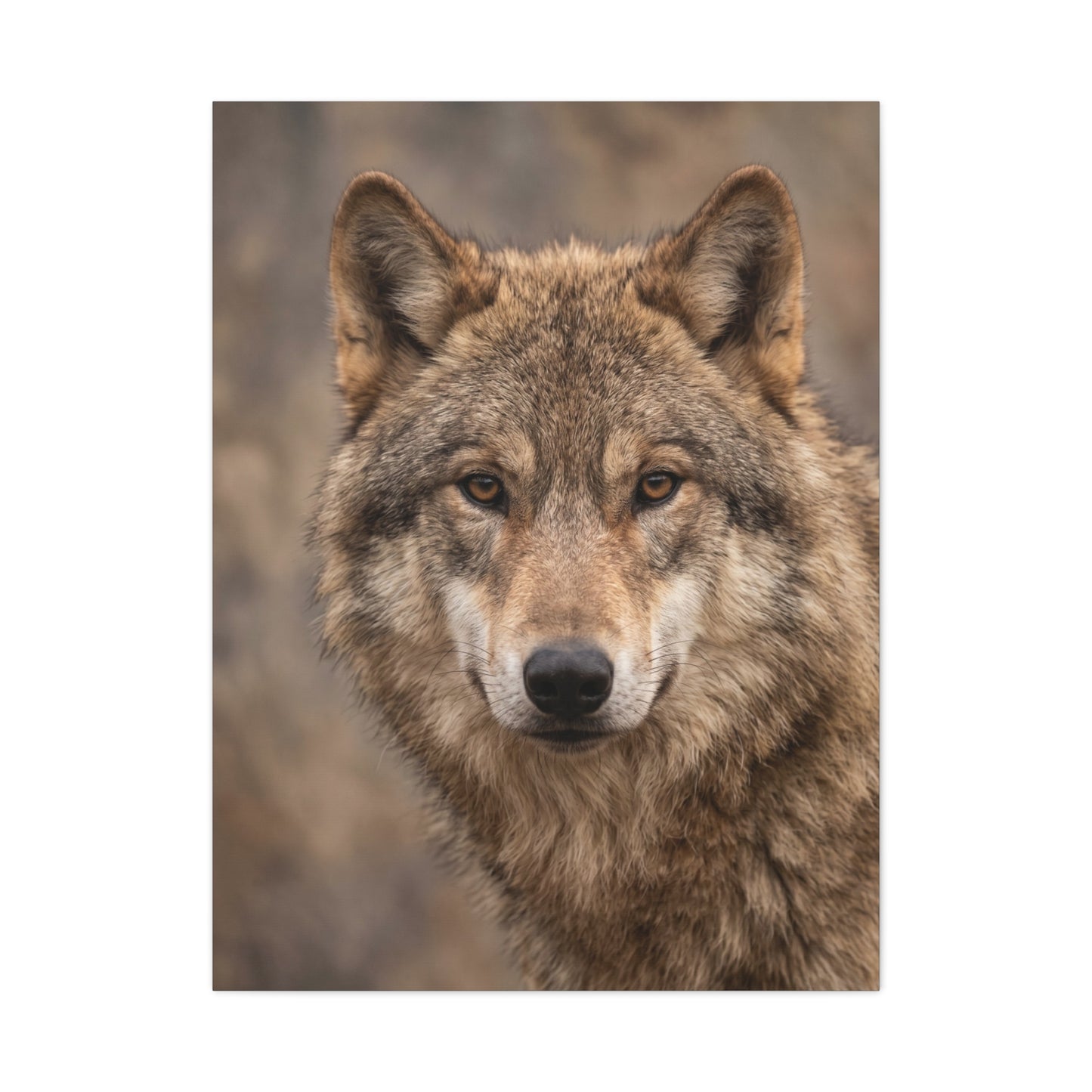 Natural Gray Wolf Close Portrait Wall Art & Canvas Print
