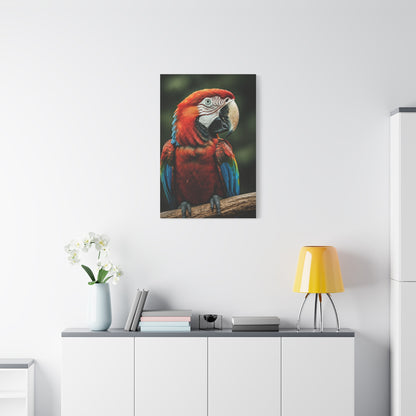 Scarlet Macaw Majesty Wall Art & Canvas Prints