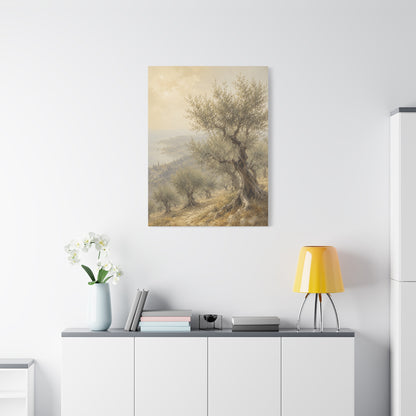 Mediterranean Olive Grove Light Trees Wall Art & Canvas Print
