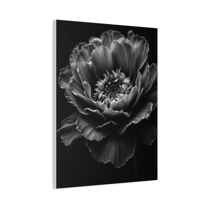 Layered Peony in Soft Shadow Wall Art & Canvas Prints