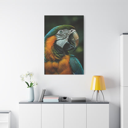 Blue and Gold Macaw Portrait Wall Art & Canvas Prints
