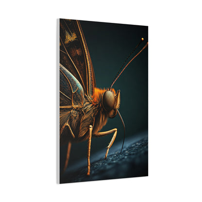 Butterfly Macro Anatomy Close-Up Wall Art & Canvas Prints