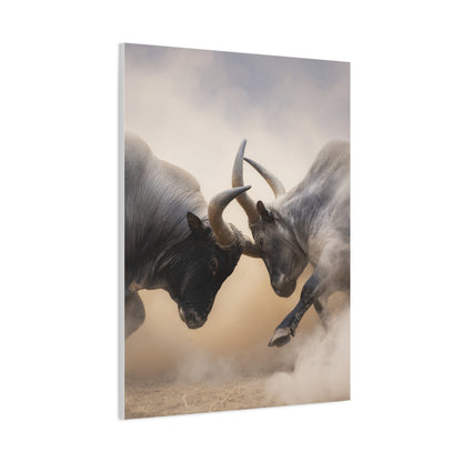 Bulls Clashing Horns Dramatic Wildlife Wall Art & Canvas Print