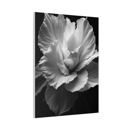 Sculpted Petal Elegance Close-Up Wall Art & Canvas Prints