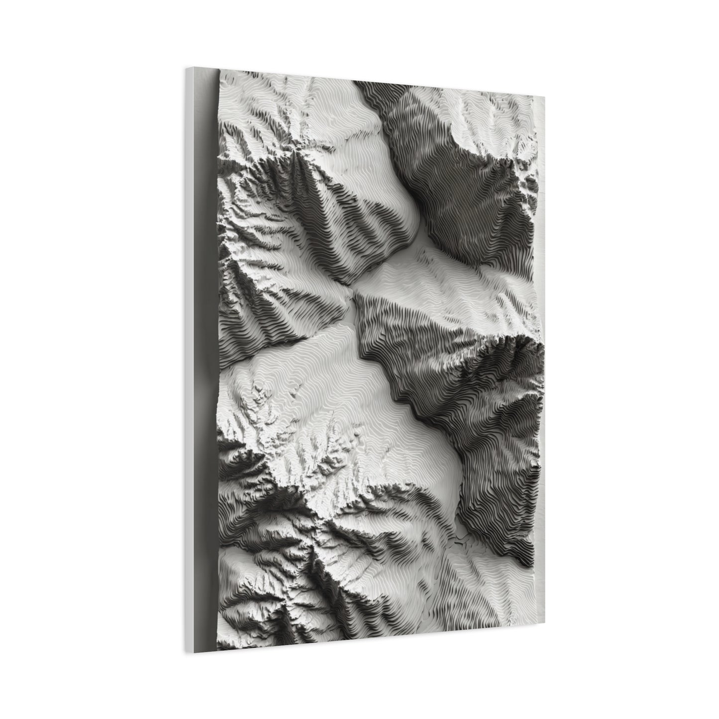 Sculpted Topographic Relief Wall Art & Canvas Print