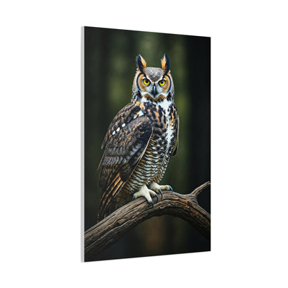 Majestic Owl Perch Wall Art & Canvas Prints