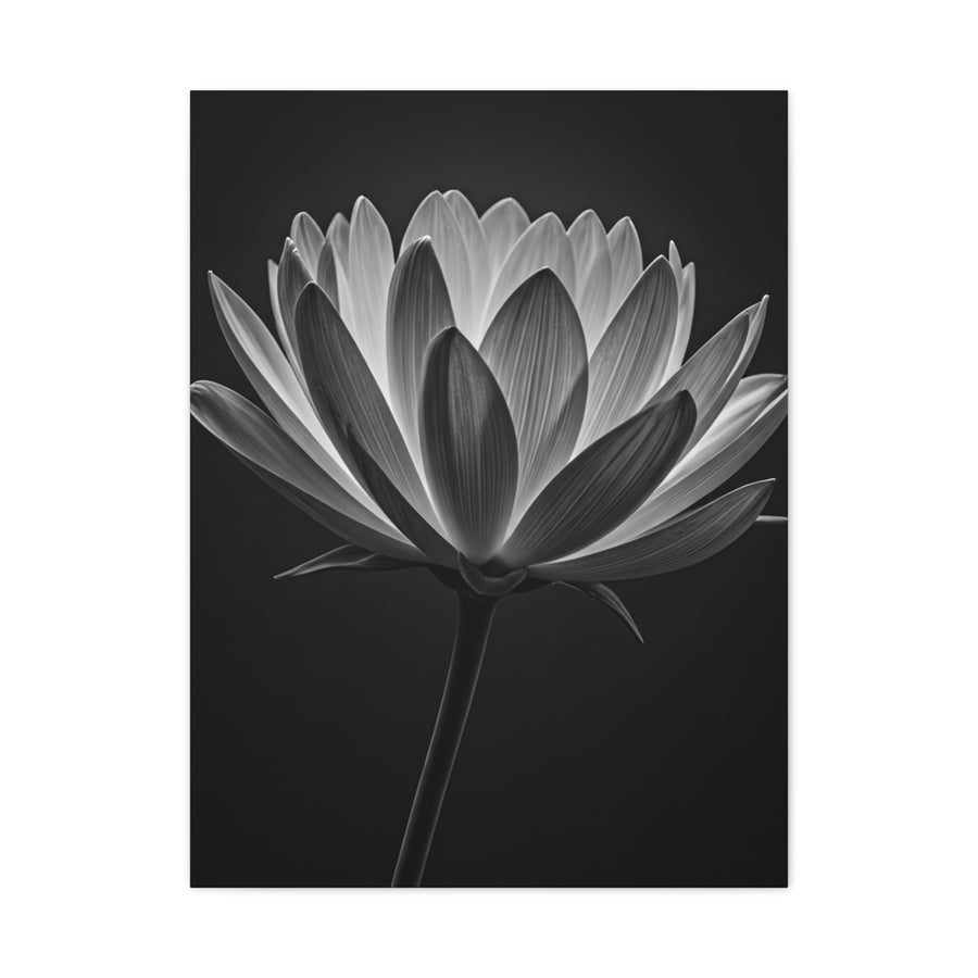 Dramatic Hibiscus Petal Study Wall Art & Canvas Prints