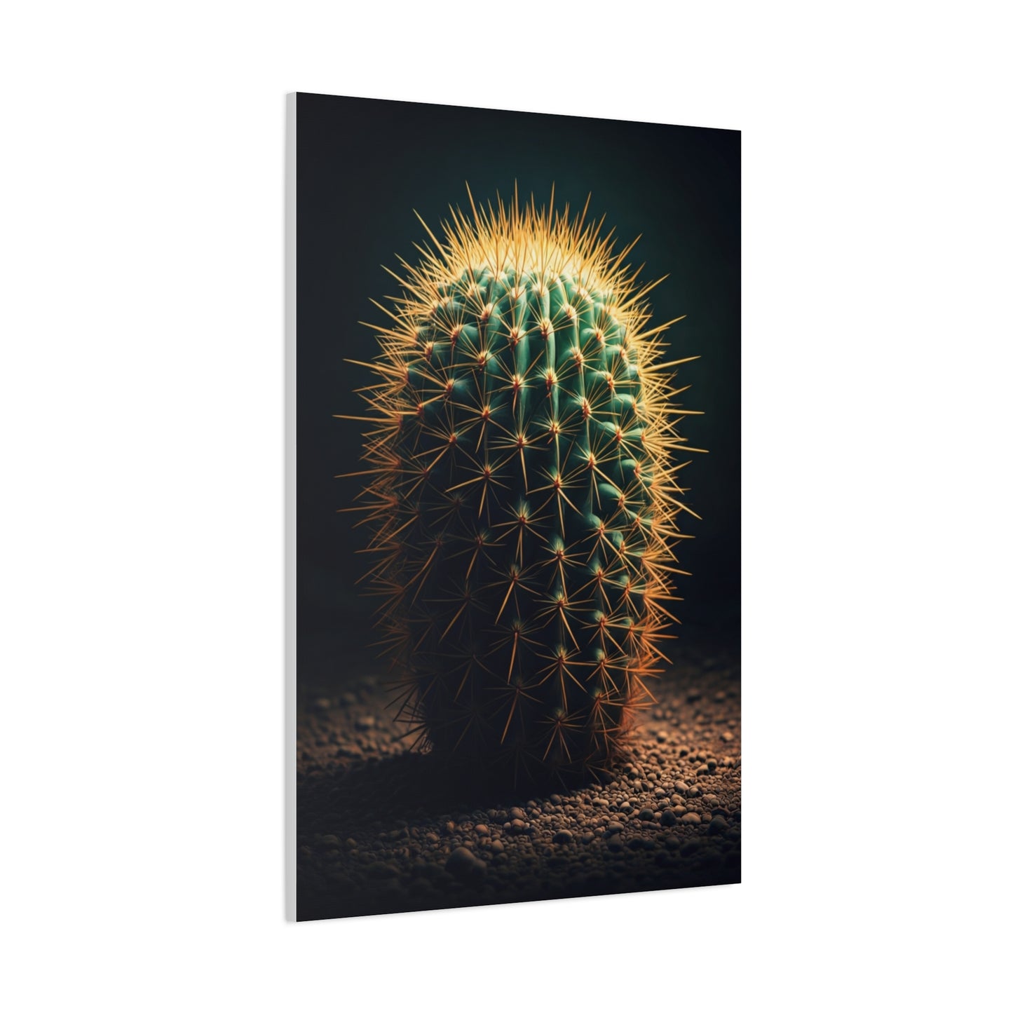 Golden Halo Barrel Cactus Wall Art & Canvas Prints