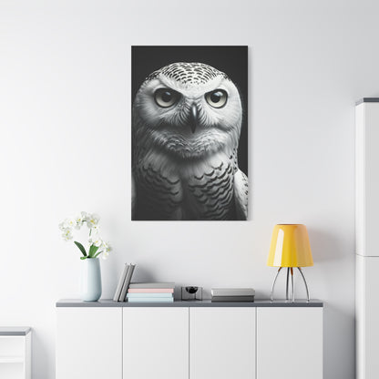 Snowy Owl Intense Gaze Wall Art & Canvas Prints