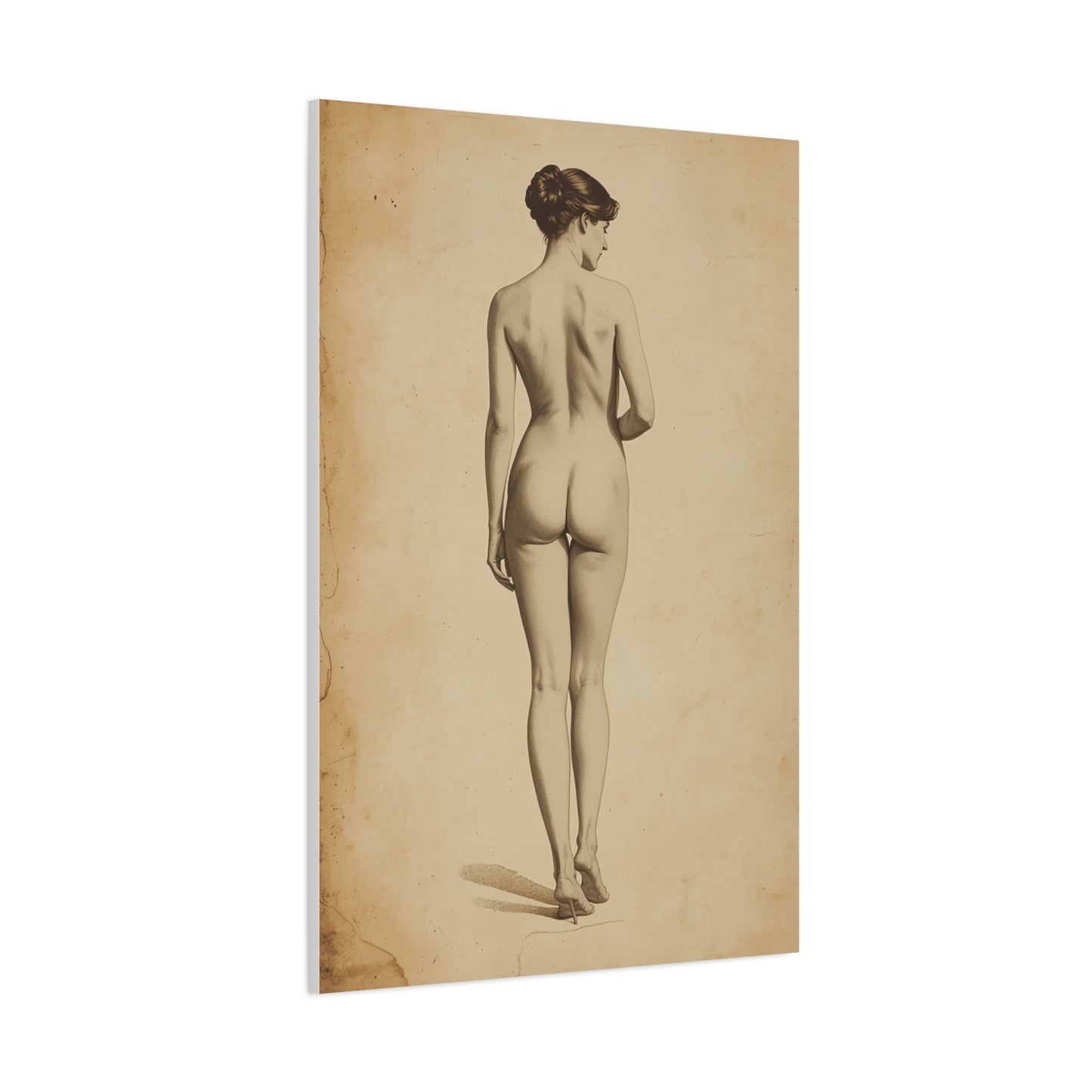 Classical Back Study Figure Wall Art & Canvas Print