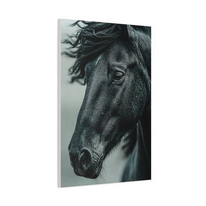 Black Stallion Close Portrait Wall Art & Canvas Print